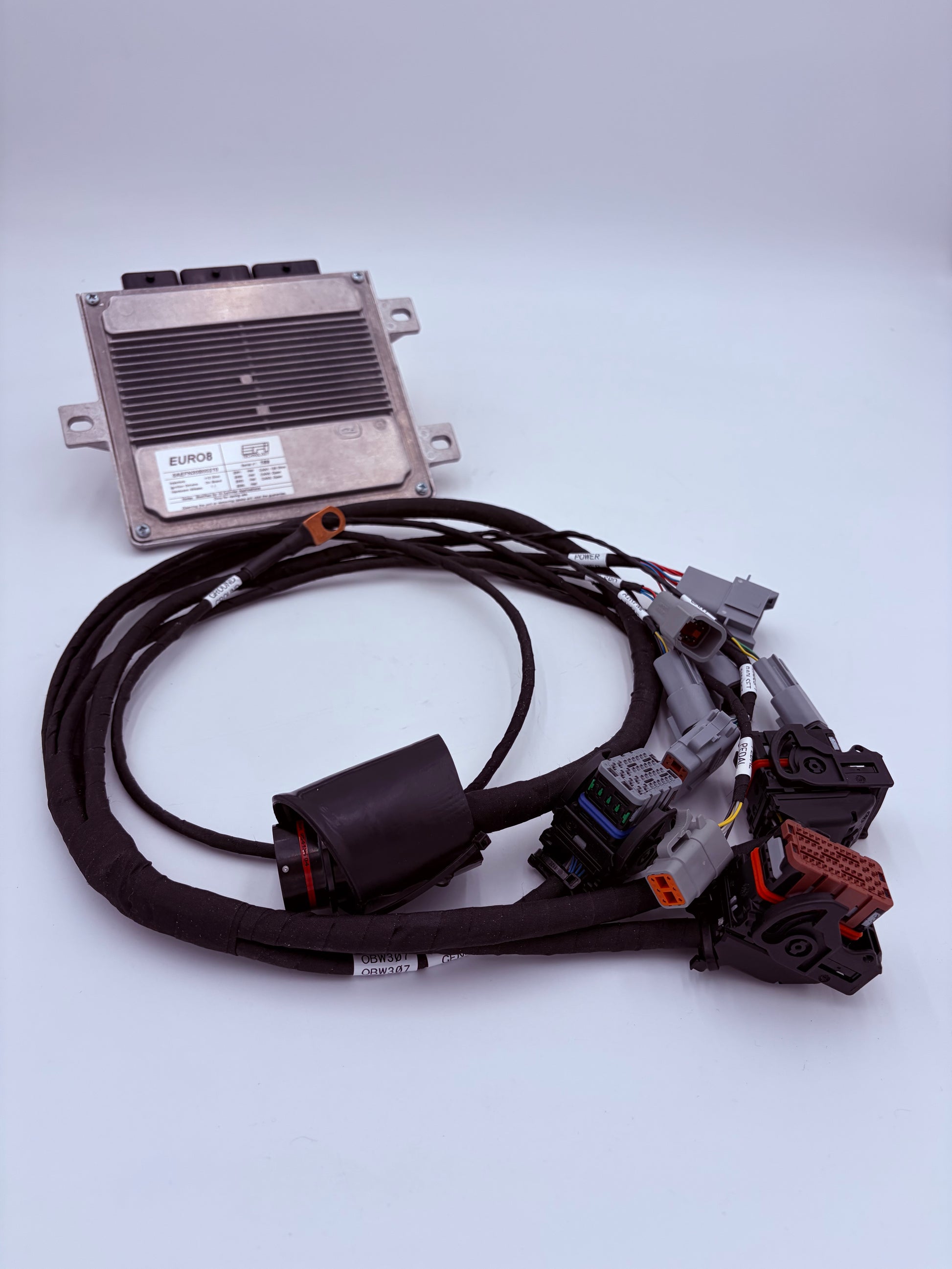 OBR Euro8 ECU Harness