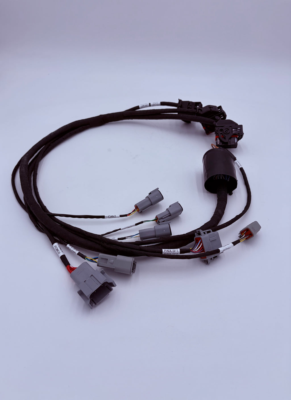 OBR Euro8 ECU Harness